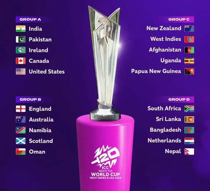 t 20 wc 24 groups
